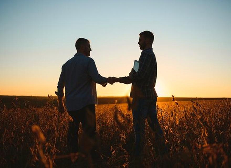 Two farmers shaking hands in a soybean field at sunset
